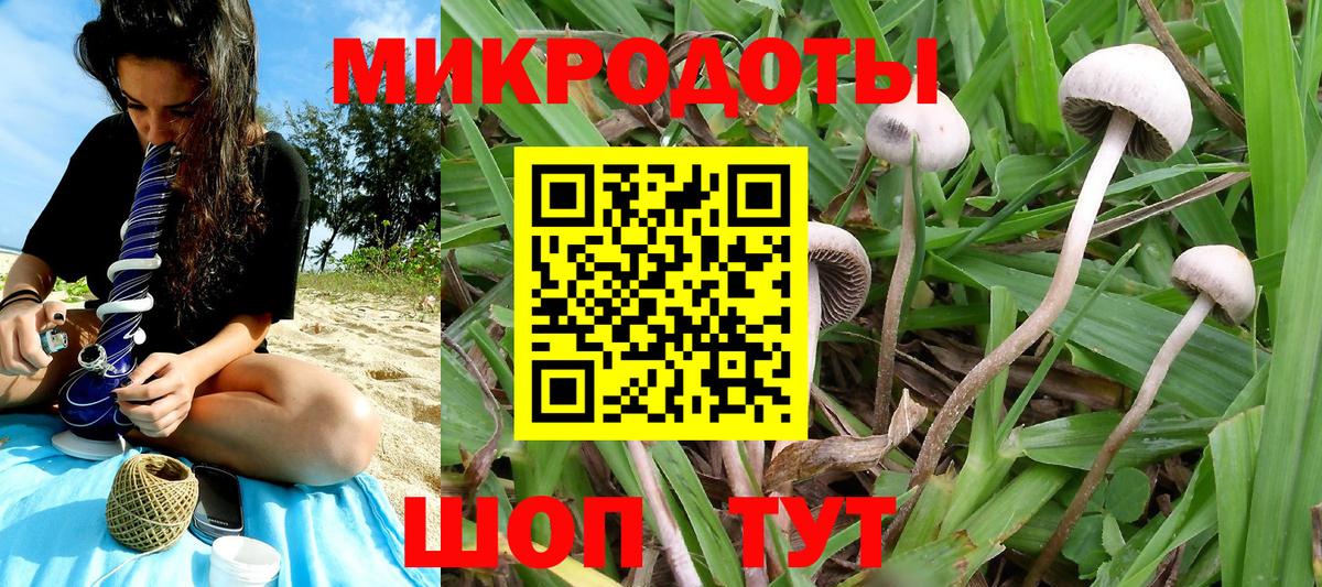 Псилоцибиновые грибы ЛСД Ачинск