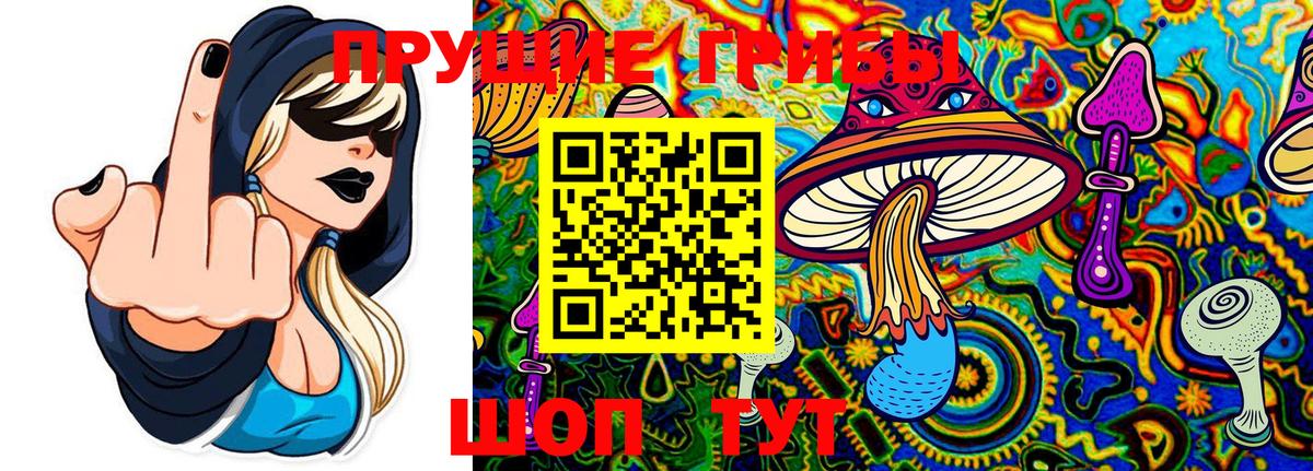 Ачинск  Галлюциногенные грибы MAGIC MUSHROOMS  Вход с VPN 
